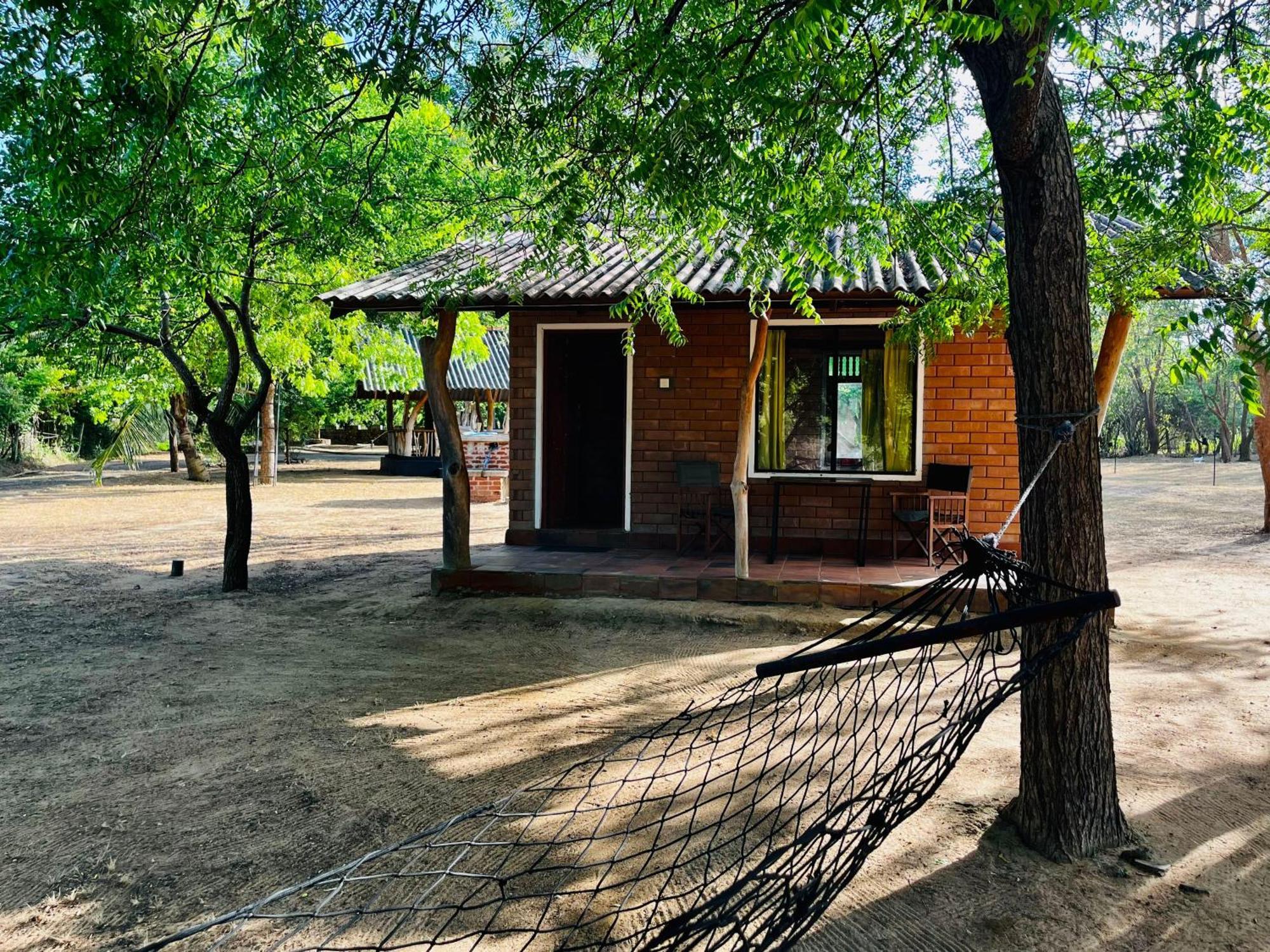 Funky Leopard Safari Lodge Bordering Yala National Park Kataragama Luaran gambar
